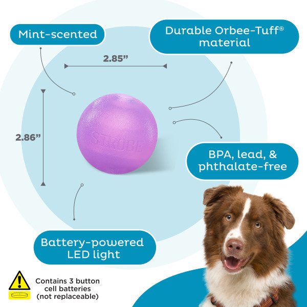 Orbee-Tuff Strobe Ball Light Up Dog Toy Purple