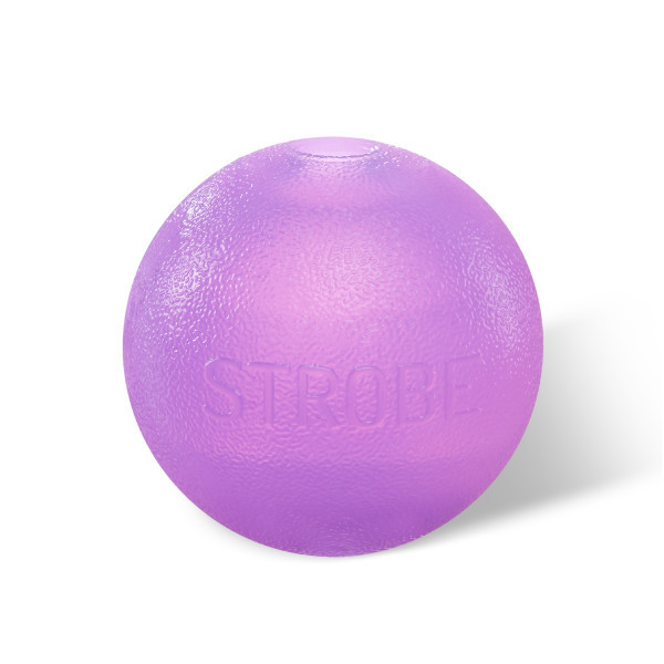 Orbee-Tuff Strobe Ball Light Up Dog Toy Purple