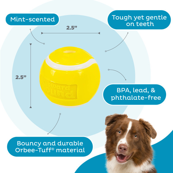 Orbee-Tuff Tennis Ball Treat-Dispensing Dog Chew Toy Yellow