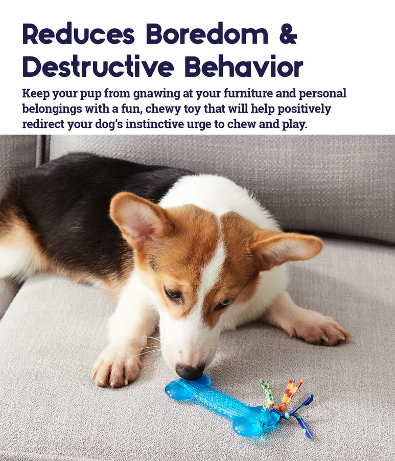 Orka Alternative Dog Chew Toy Bone