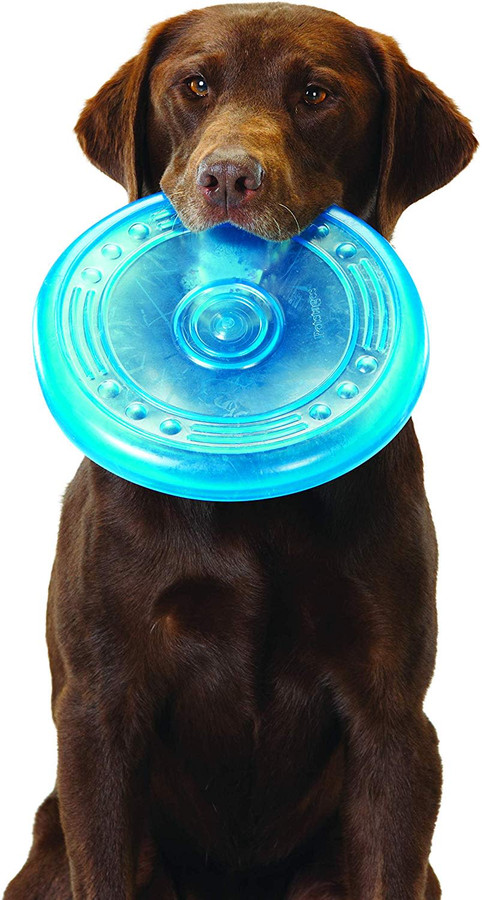 Orka Flyer Flying Disc Dog Toy Royal Blue