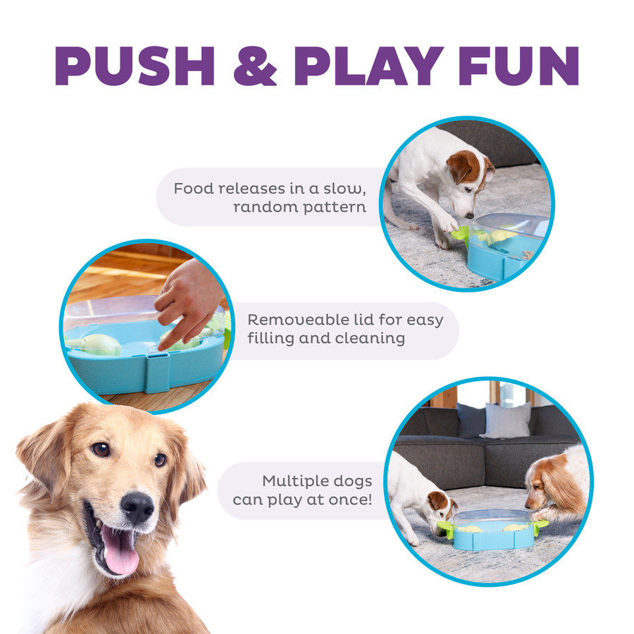 Paw N' Play Dog Puzzle Dog Enrichment Toy Blue