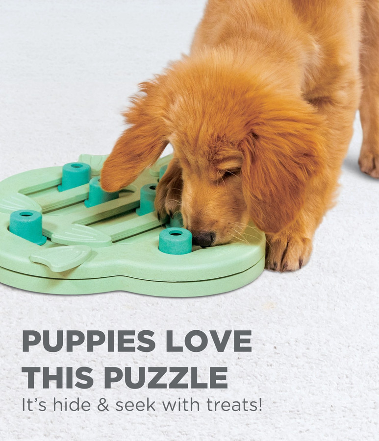Puppy Hide N' Slide Interactive Treat Puzzle Dog Toy Green