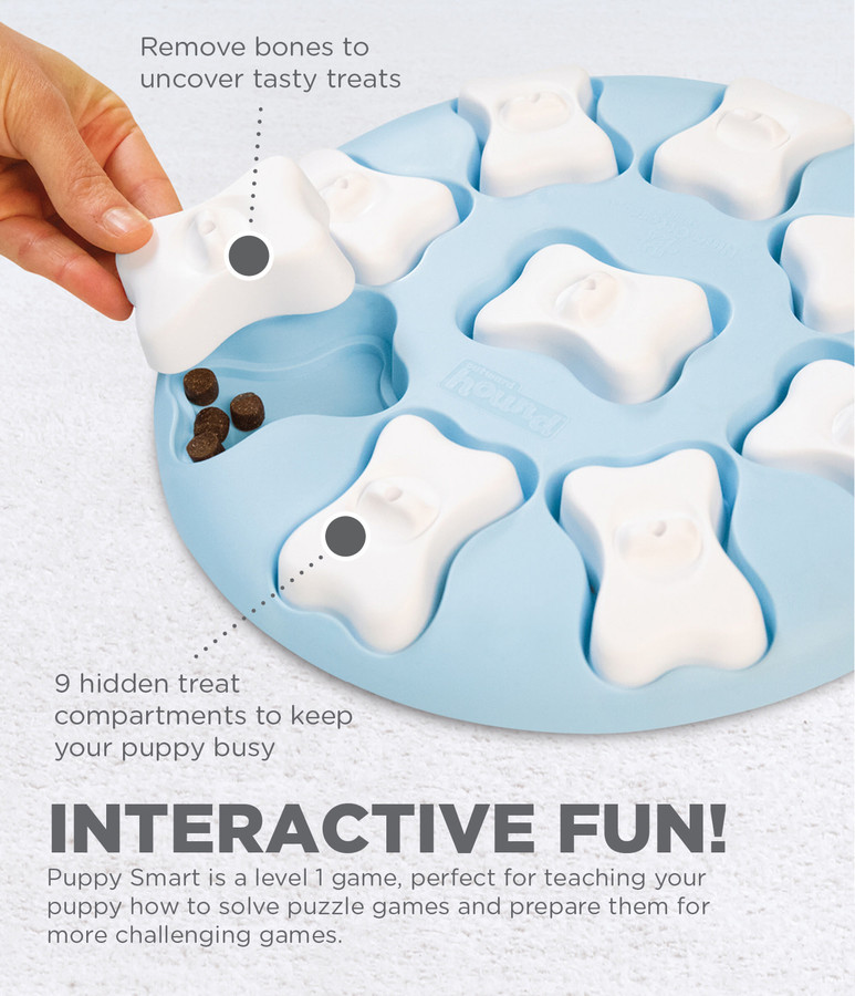 Puppy Smart Interactive Treat Puzzle Dog Toy Blue