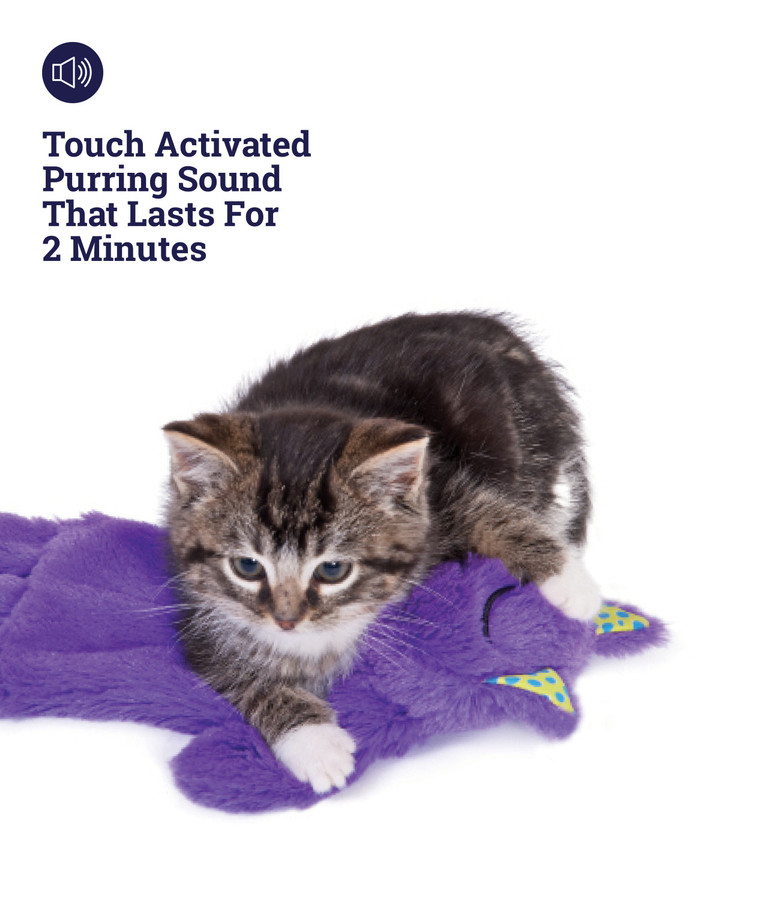 Purr Pillow Kitty Plush Cat Toy Multi