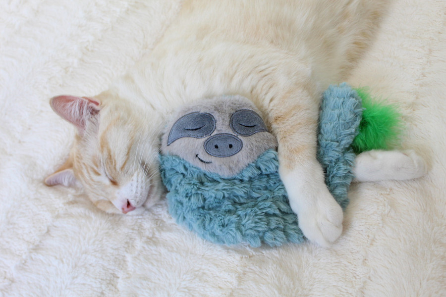 Purr Pillow Snoozin' Sloth Plush Cat Toy Green