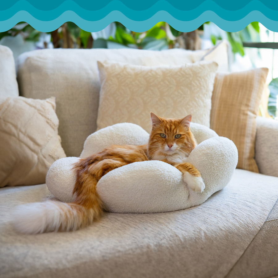 Purrfect Petals Cat Bed