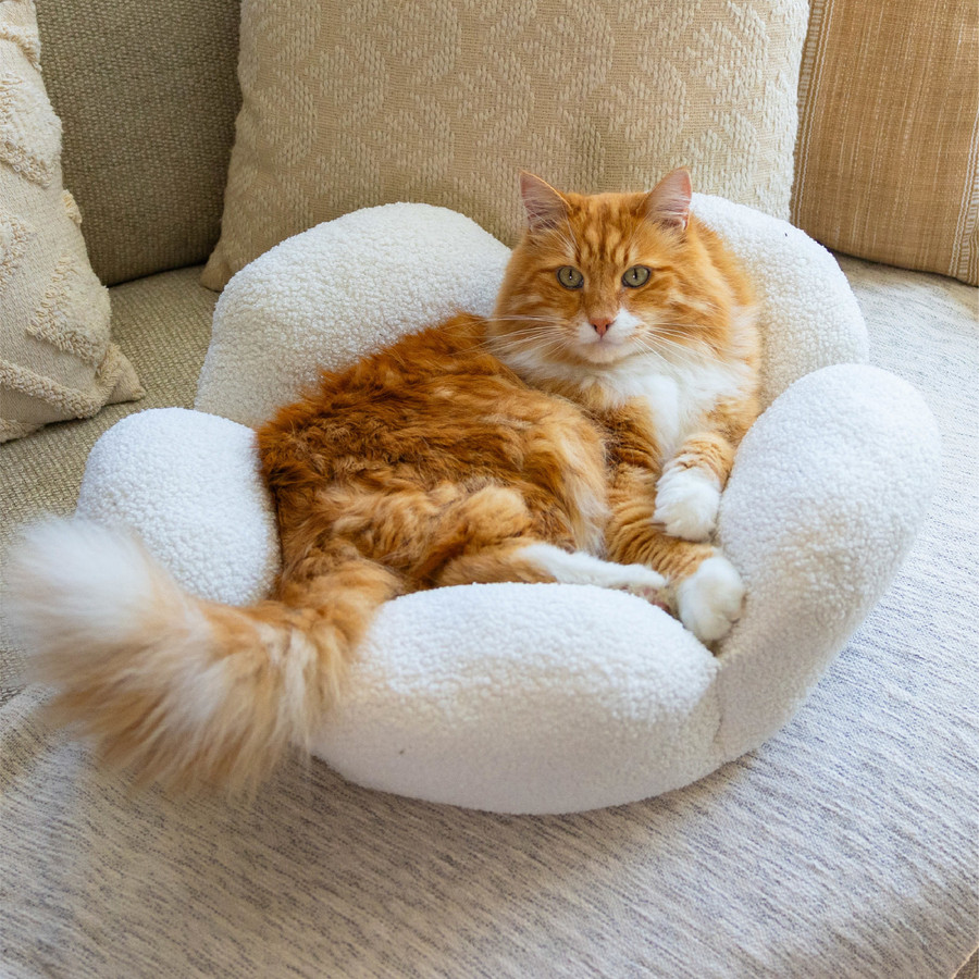Purrfect Petals Cat Bed