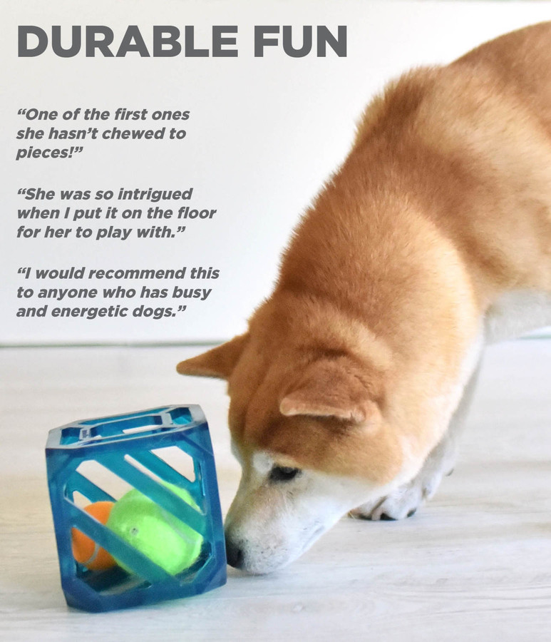 Puzzle Cube Interactive Squeaky Dog Toy Blue