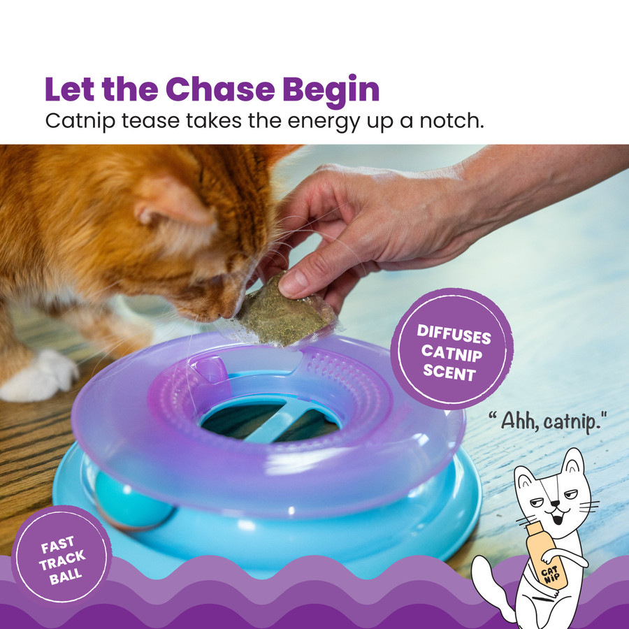 Race N' Chase Track Interactive Cat Ball Track Toy With Catnip Diffuser Purple