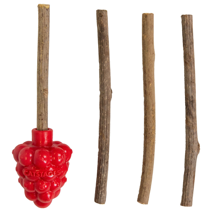 Raspberry Silvervine Tther