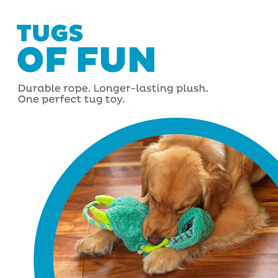 Ropiez Dragon Rope Dog Toy Multi Large