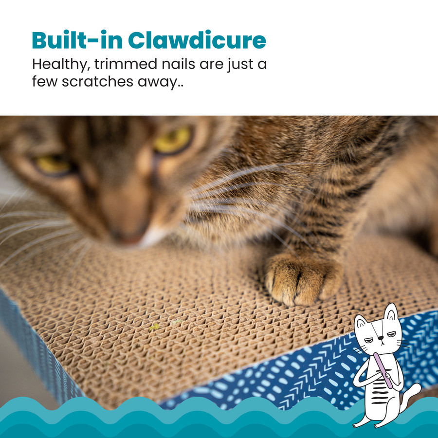 Scratch & Cuddle Nav