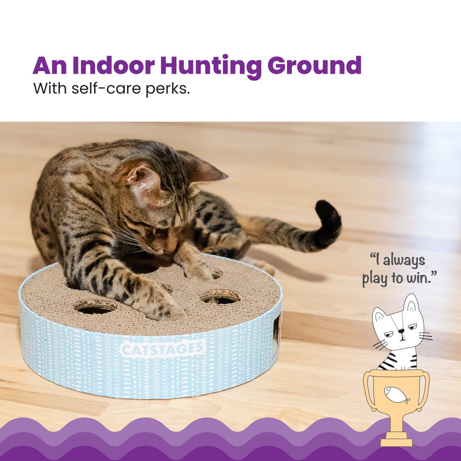 Scratch N' Hunt Puzzle Cat Toy Blue