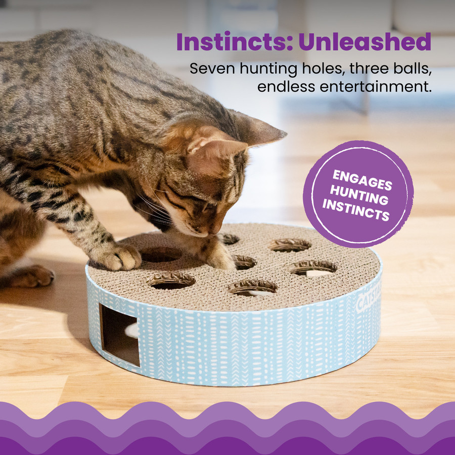 Scratch N' Hunt Puzzle Cat Toy Blue