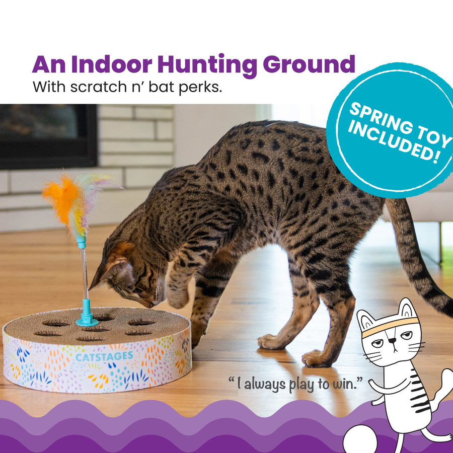 Scratch N Hunt Spring Toy Blue
