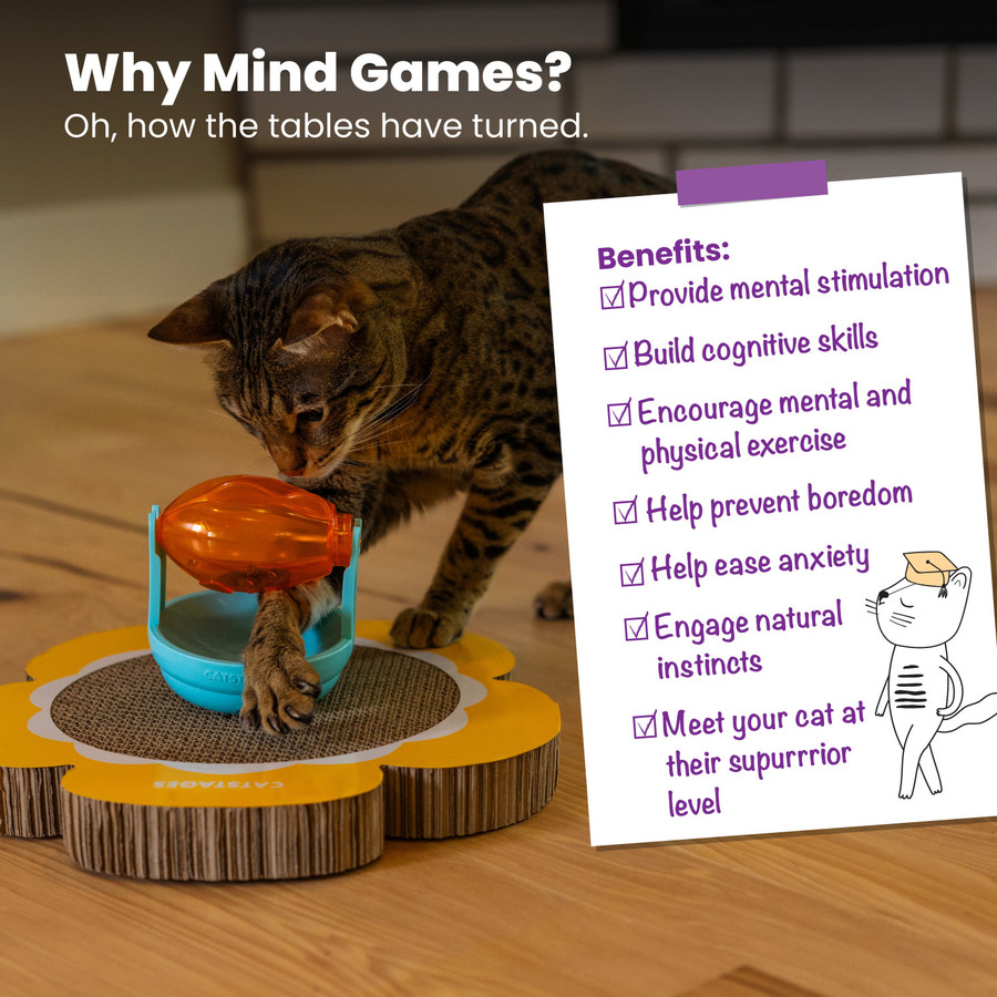 Scratch Topper Treat Org
