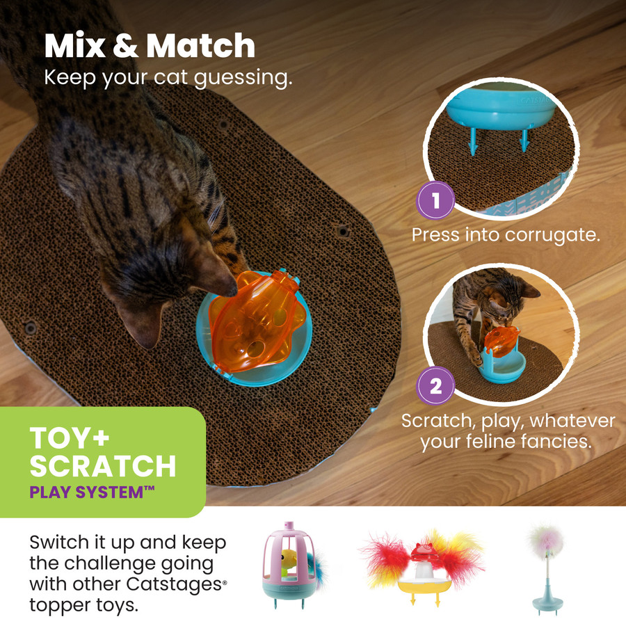 Scratch Topper Treat Org