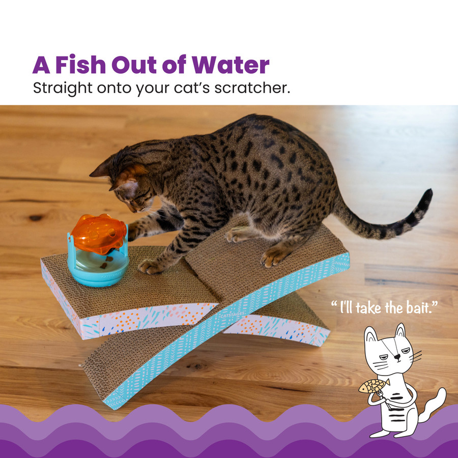 Scratch Topper Treat Org