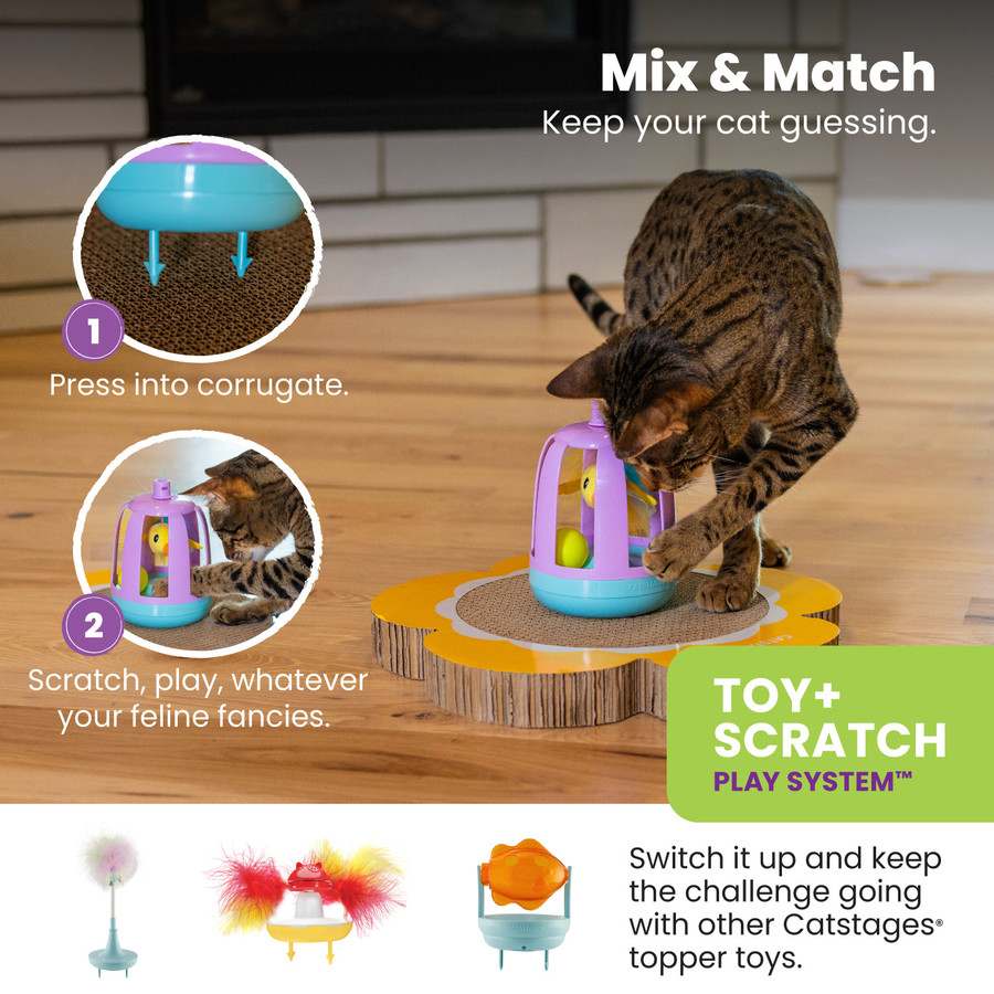 Scratch Tppr Chirping Bird Prp