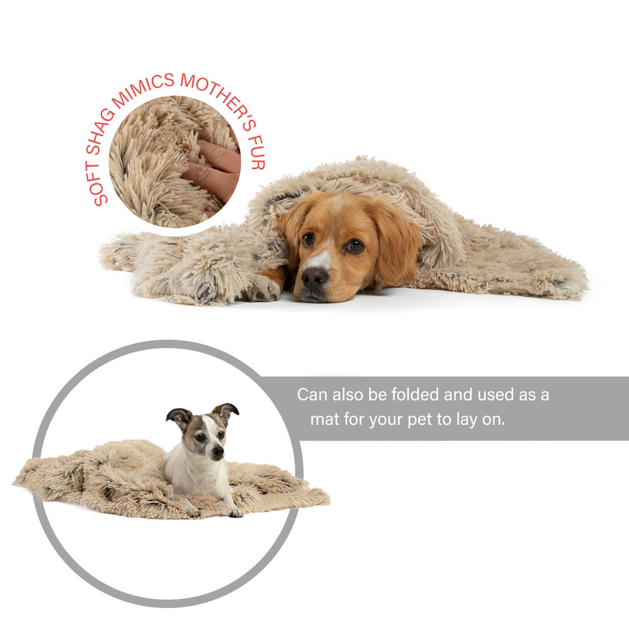 Shag Pet Throw Blanket 30x40
