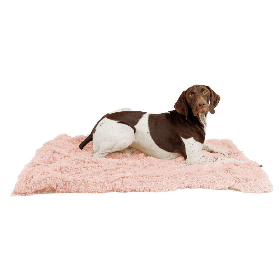 Shag Pet Throw Blanket 40x50