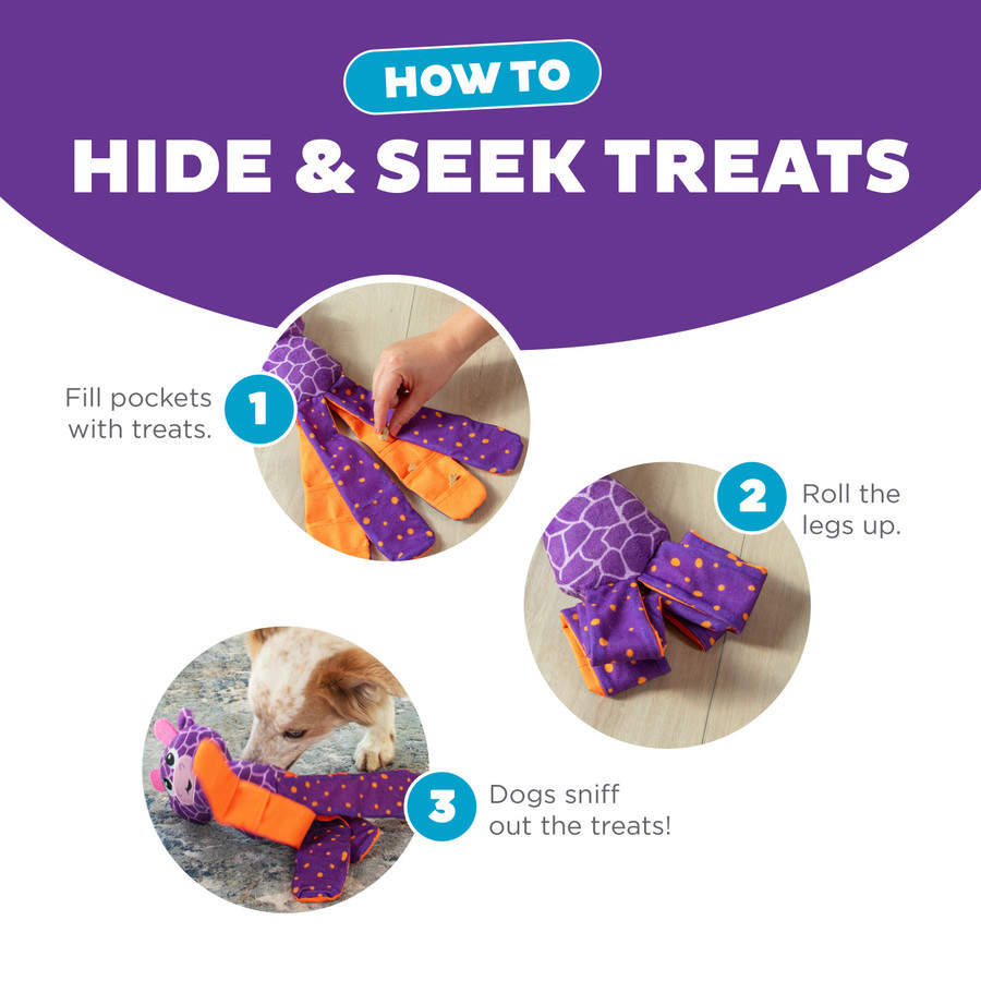 Silly Legz Interactive Plush Dog Puzzle Purple