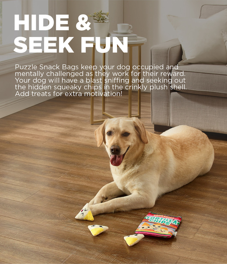 Snack Bag Tortilla Chips Puzzle Dog Toy Multi