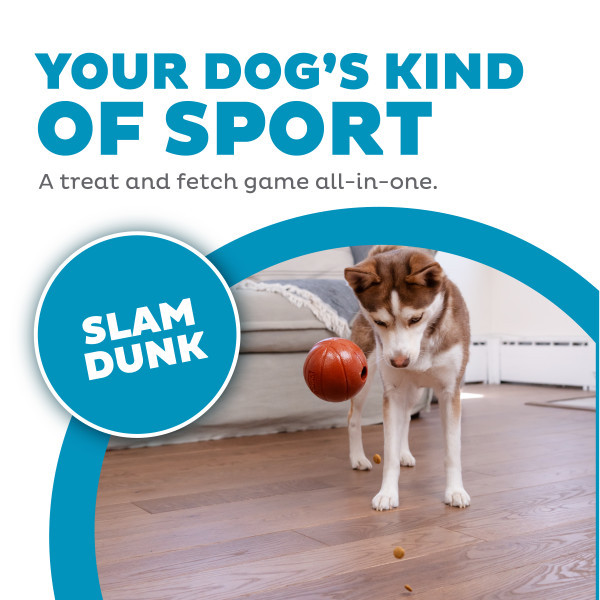 Sport Ballz Basketball Brown