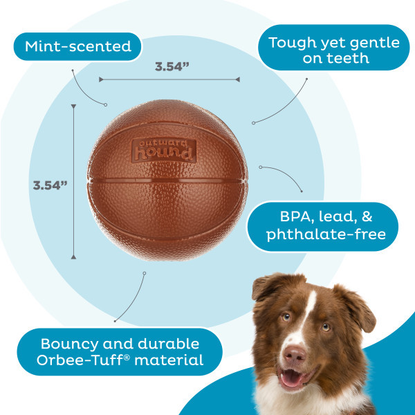 Sport Ballz Basketball Brown