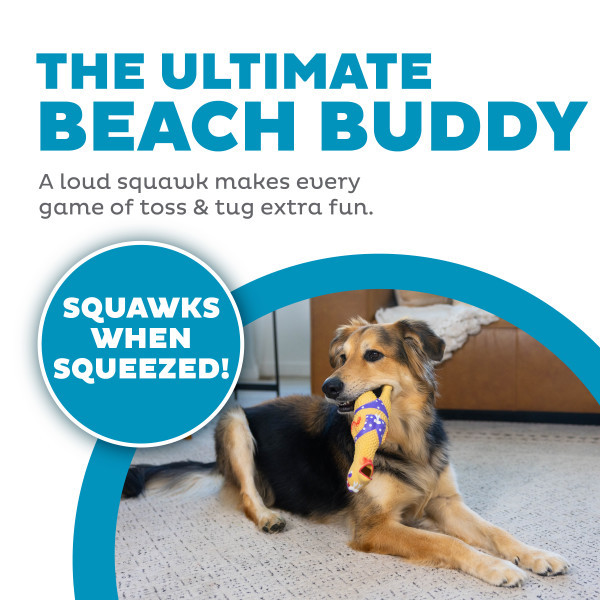 Squawkers Henrietta Tan LG