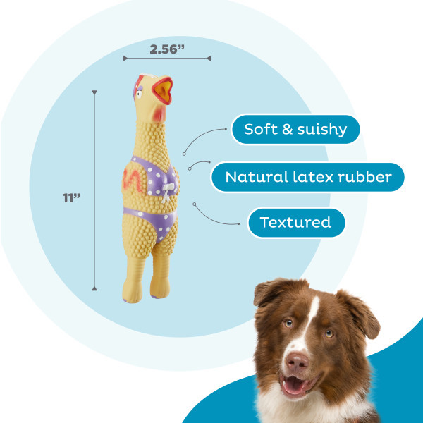 Squawkers Henrietta Tan LG