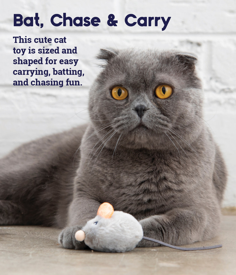 Squeak Squeak Mouse Plush Cat Toy Grey