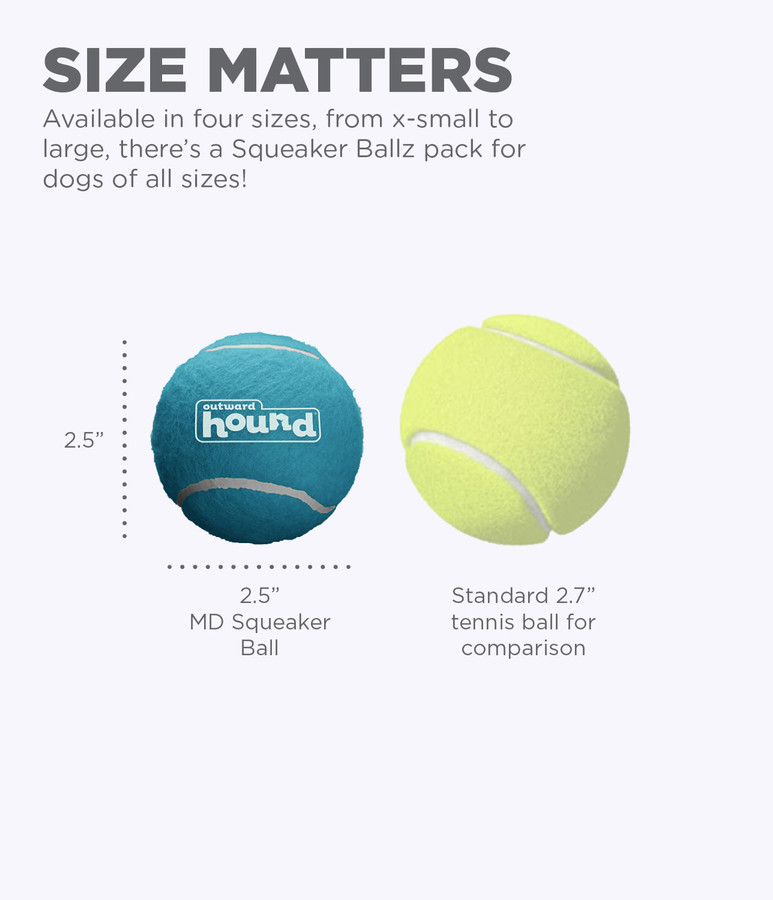 Squeaker Ballz Squeaky Tennis Balls Medium