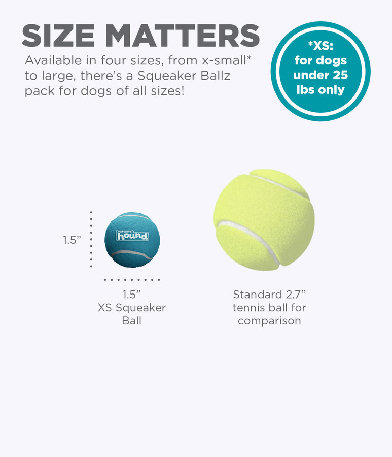 Squeaker Ballz Squeaky Tennis Balls X-Small