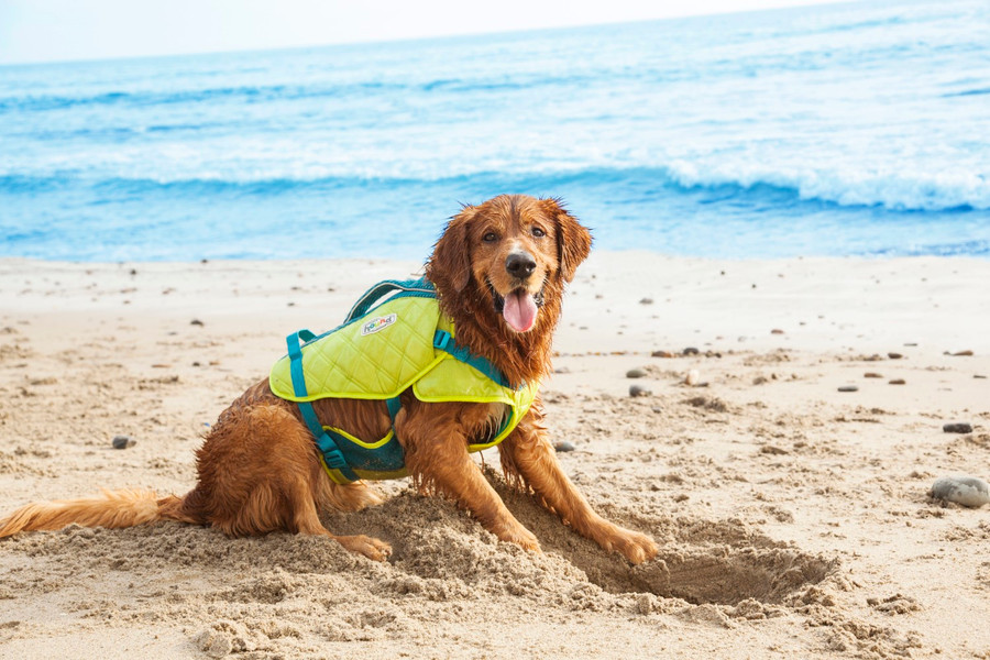 Standley Sport Performance Dog Life Jacket