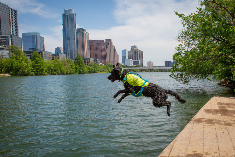 Standley Sport Performance Dog Life Jacket