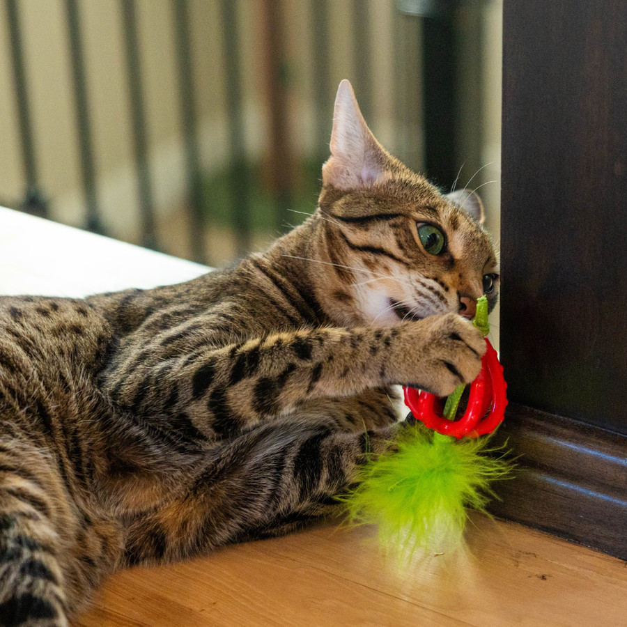 Strawberry Teether