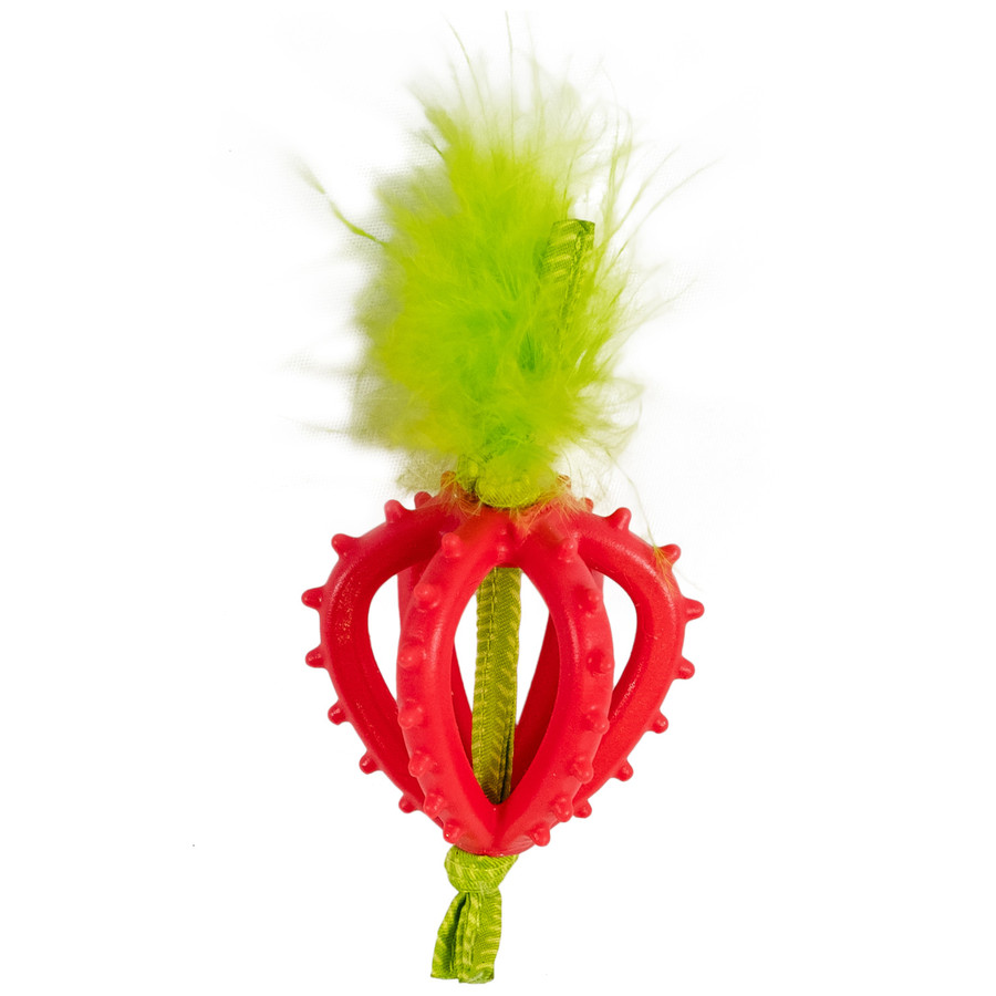 Strawberry Teether