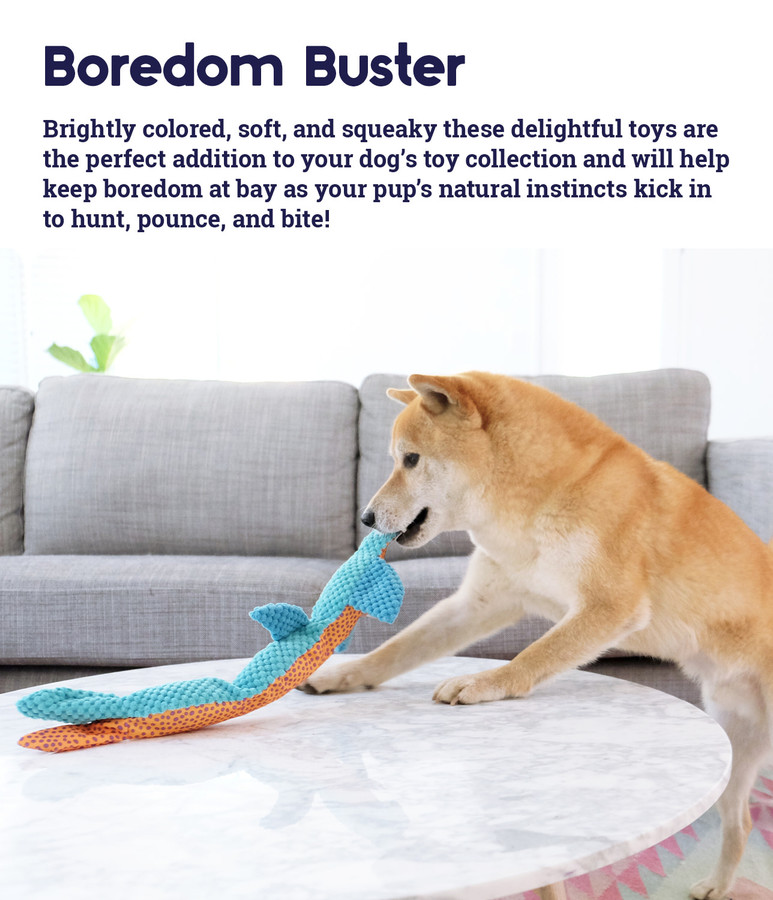 Stuffing-Free Big Squeak Plush Dog Toy