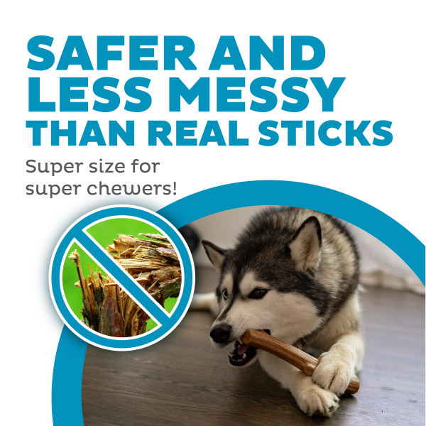 Super Dogwood Dog Chew Toy