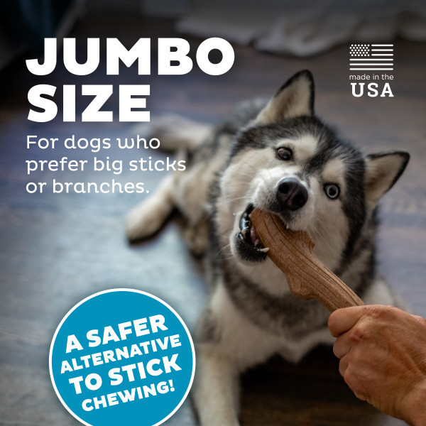 Super Dogwood Dog Chew Toy
