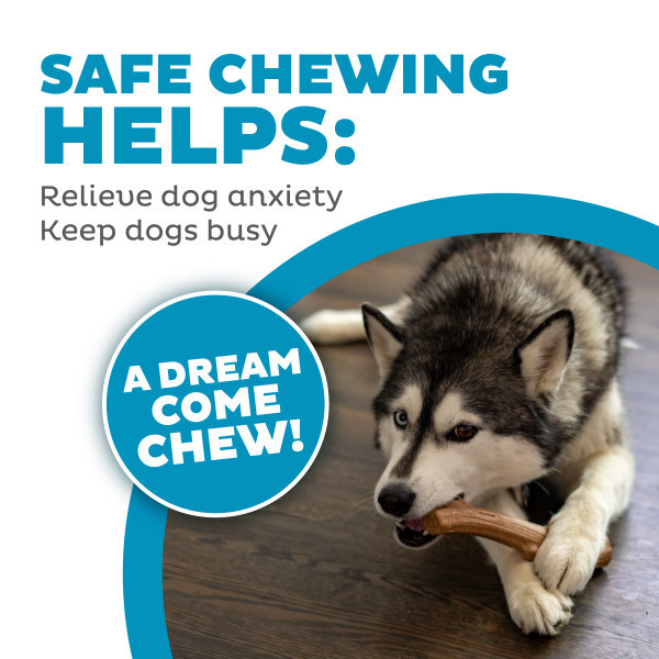 Super Dogwood Dog Chew Toy