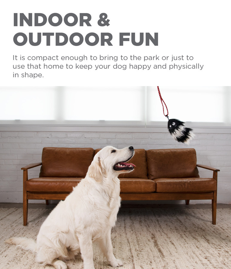 Tail Teaser Dog Wand Lure Toy
