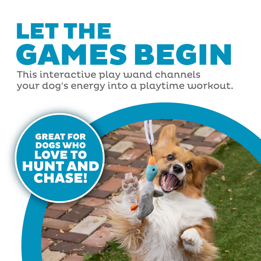 Tail Teaser Interactive Dog Wand Toy Multi