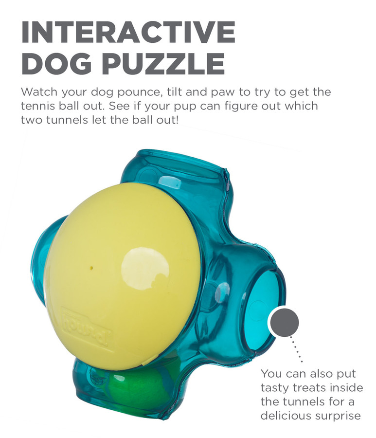 Tennis Maze Craze Dog Puzzle Toy Blue
