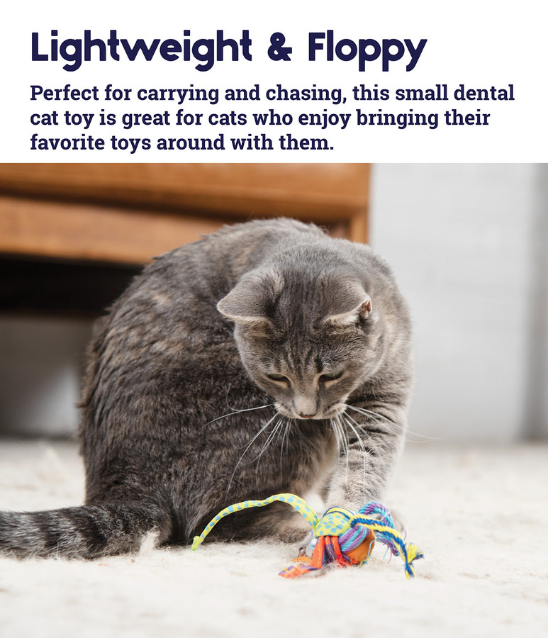 Tons Of Tails Dental Cat Toy Multi