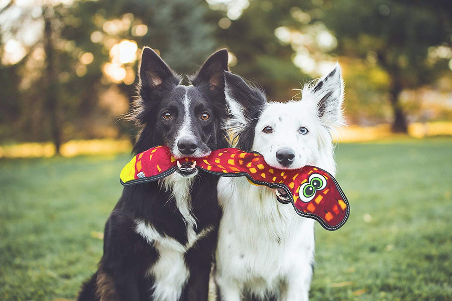 Tough Seamz Plush Dog Toy Snake