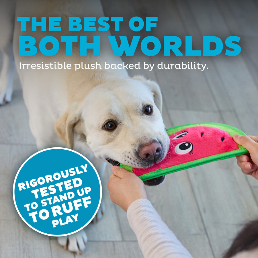 Tough Skinz Durable Dog Toy With Two Tough Layers Watermelon Red Medium Red