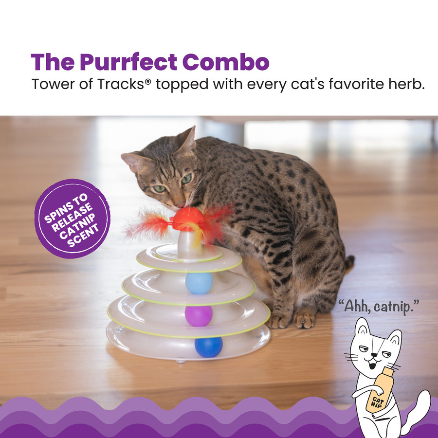 Tower Of Tracks And Spinning Catnip Toy Cat Ball Track